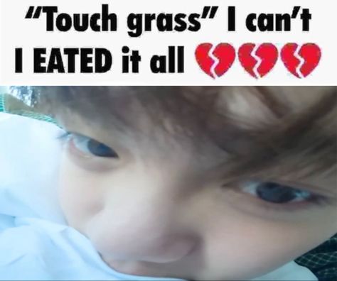 “Touch grass” I can’t I EATED it all 💔💔💔 Touch Grass I Eated It All, Go Touch Grass I Cant I Eated It All, Touch Grass I Cant, I Eated It All, Funny Things, I Cant, I Can, Canning, Memes