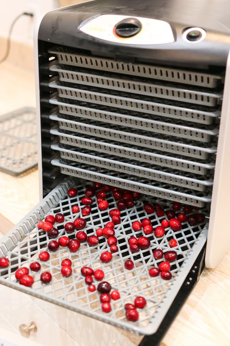 How To Dry Cranberries For Garland, Dehydrate Cranberries In Dehydrator, Dehydrating Cranberries In Dehydrator, How To Dry Cranberries For Potpourri, Dehydrating Cranberries, Cranberry Crafts, How To Dry Cranberries, Dehydrated Cranberries, Dry Cranberries