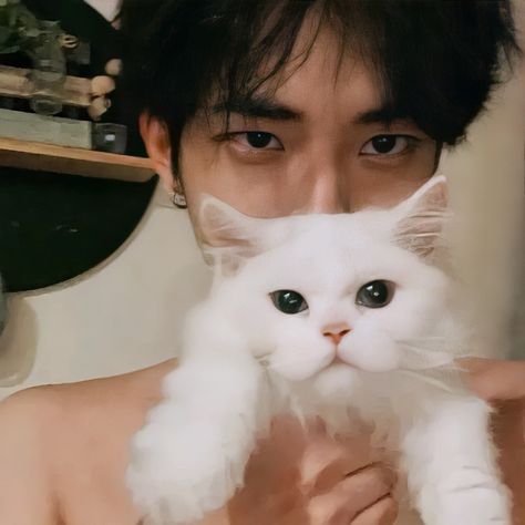 Men With Cats, Yoo Ah In, 얼굴 드로잉, Cute Asian Guys, Boy Pictures, Aesthetic Guys, Ulzzang Boy