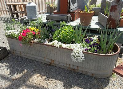 Landscape Gardening, Patio Flowers, Water Trough, Container Gardening Ideas, Vintage Garden Decor, Old Metal, Garden Containers, Outside Ideas, Container Gardens