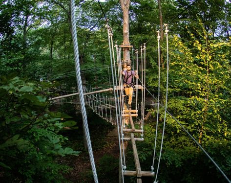 Experience The Virginia Forest From A New Perspective On The Canopy Walk At The Adventure Park At Virginia Aquarium Humpback Bridge Virginia, Kiptopeke State Park Virginia, Virginia Waterfalls, Natural Bridge State Park Virginia, Bloukrans Bridge Bungee Jumping, Cumberland Gap, Virginia Creeper Trail Bike Rides, Virginia Travel, River Falls