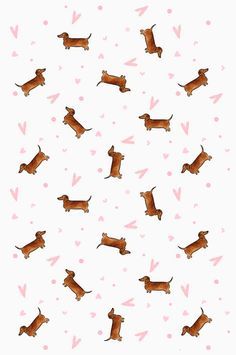 Wallpaper Iphone Dog, Pattern Wallpaper Iphone, Dachshund Wallpaper, Arte Dachshund, Dog Wallpaper Iphone, Anjing Pug, Dog Background, Dachshund Art, 강아지 그림