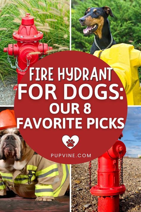 Best fire hydrant for dogs: are fire hydrants a good tool for potty training your dog? Are they good for anything else? Find out here! Fire Hydrant Dog Potty, Diy Fire Hydrant For Dogs, Fire Hydrant Landscaping Ideas, Diy Fire Hydrant, Fire Hydrant Ideas, Dog Fire Hydrant, Potty Training Tools, Dog Park Ideas, Dog Potty Area