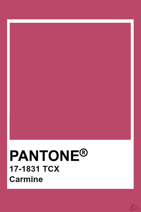 Dark Pink Pantone, Pantone Raspberry, Carmine Color, Pink Pantone, Pantone Tcx, Pantone Trends, Pantone Color Chart, Pantone Swatches, Pantone Palette