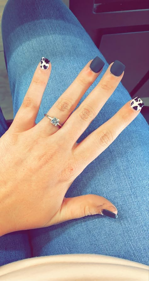 Matt Dip Nails, Western Nails Matte, Dip Nails Cow Print, Cow Print Dip Nails, Ffa Nails Ideas, Short Square Acrylic Nails Cow Print, Dip Powder Nails Cow Print, Cow Print Nails Black, Cute Cow Print Nails