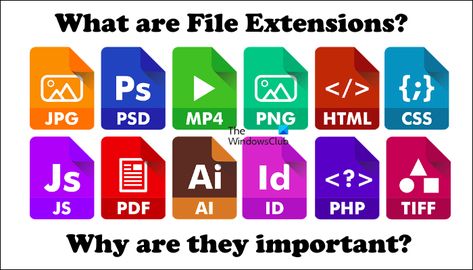 What are File Extensions and why are they important? Medical Words, Icon Files, Text Editor, Html Css, Amazing People, Cheat Sheets, Operating System, Online Tools, Good People