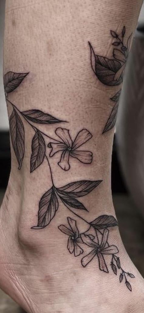 Star Jasmine Drawing, Jasmine Plant Tattoo, Jasmine Flowers Tattoo, Night Blooming Jasmine Tattoo, Star Jasmine Tattoo, Jasmine Flower Drawing Tattoo, Jasmine Vine Tattoo, Jasmine Flower Tattoo, Jasmine Drawing