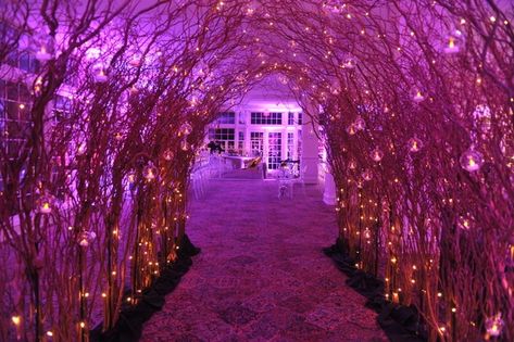 Enchanted Forest — Event Decor NJ Forest Theme Prom, Prom Outfit Men, Prom Theme Decorations, Enchanted Forest Theme Party, Senior Breakfast, Enchanted Forest Quinceanera Theme, Enchanted Forest Quinceanera, Enchanted Forest Prom, Enchanted Forest Decorations