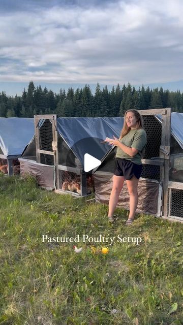 Brooke - farm mama | PASTURED POULTRY SETUP 🐓 🌾 
Year 5 of raising meat chickens is almost coming to a close. In two days we will be processing 600 birds. 

I... | Instagram Cash Crops, Raising Meat Chickens, Pastured Poultry, Be More Active, Cash Crop, Western Rustic, Year 5, Heat Lamps, Meat Chickens