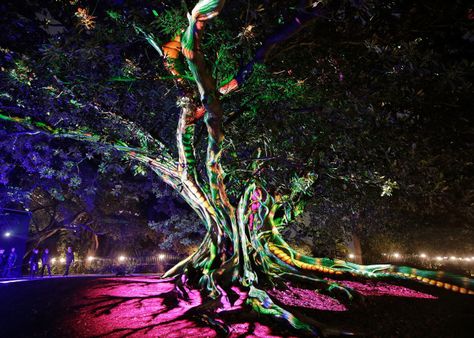 The “Synthesis” work aims to shed scientific light on the Moreton Bay Fig, a huge, sprawling species of tree common on the city’s waterfront. | This Light Show Is The Trippiest Thing You'll See Today Journey Pictures, Garden Of Lights, Vivid Sydney, Pictures Of The Week, Festival Lights, Light Installation, Fairy Land, Light Show, Wanderlust Travel