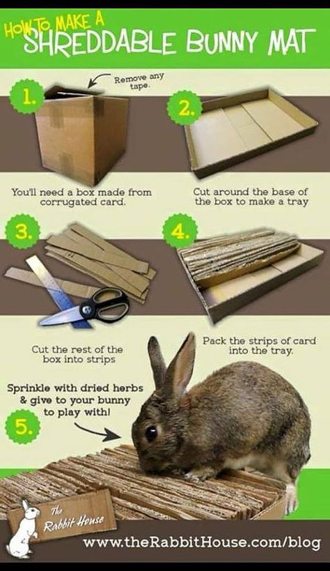 Diy Bunny Toys, Rattus Rattus, Bunny Things, Pet Rabbit Care, Kat Diy, Rabbit Treats, Bunny Hutch, Rabbit Stuff, Rabbit Ideas