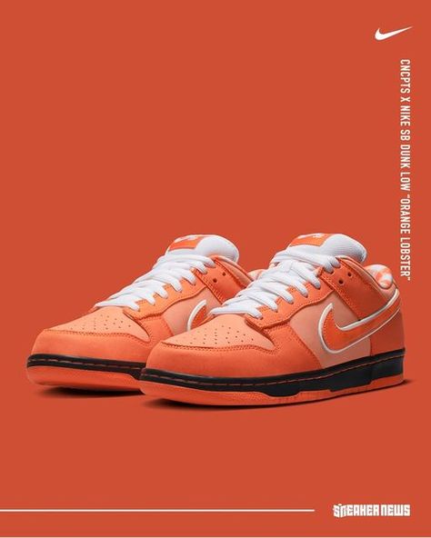 Dunk Orange, Sneaker Displays, Dunks Outfit, Money Clothes, Kicks Shoes, Shoes World, Sb Dunk Low, Nike Sb Dunks Low, Nike Sb Dunks