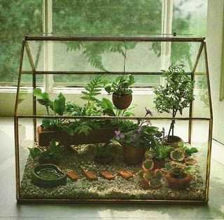 Snail Terrarium, Wardian Case, Pet Snails, Beautiful Terrariums, Terrarium Ideas, Small Greenhouse, Mini Gardens, Mini Greenhouse, Garden Terrarium