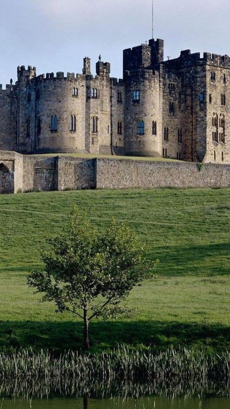 Alnwick Castle - Northumberland, England Uk Castles, Castle England, Northumberland England, British Castles, Alnwick Castle, Old Castle, Chateau Medieval, English Castles, Castle Mansion