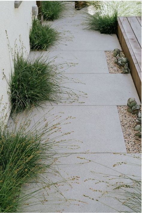 Modern Garden Stepping Stones, Organic Backyard Design, Modern Mediterranean Landscape Design, House Sidewalk Ideas, White Pea Gravel, White Gravel Pathway, White Pebble Courtyard, Stone And Gravel Pathway, Gravel Garden Path