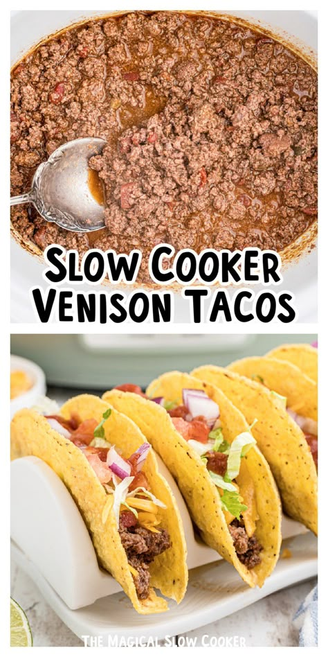 Crock Pot Ground Venison Recipes, Venison Tacos Slow Cooker, Ground Deer Meat Recipes Crockpot, Venison Crockpot Recipes, Deer Meat Recipes Ground, Venison Appetizers, Slow Cooker Venison Chili, Venison Recipes Crockpot, Venison Tacos