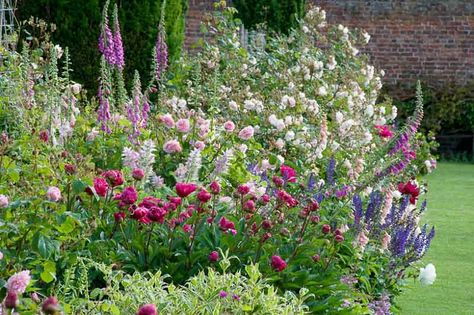 A Lovely Spring Border Idea with Peonies, Roses and Sage Garden Retreat Ideas, Cottage Garden Roses, Planting Schemes, English Garden Design, Fragrant Garden, English Gardens, Garden Shrubs, Peonies Garden, Traditional Garden