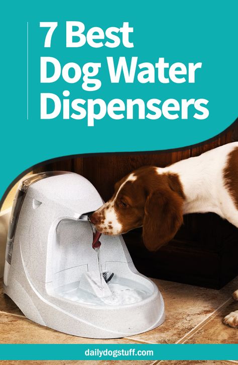 Outdoor Dog Water Station, Dog Water Station, Entry Lockers, Dog Fountain, Dog Water Fountain, Dog Water Dispenser, Dog Wellness, Dog Tricks, Water Station