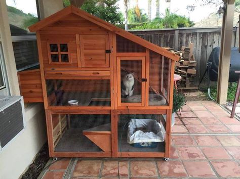 Convert a chicken coop into a catio Katt Diy, Katt Grejer, Kat Diy, Chat Diy, Niche Chat, Cat Fence, Cat Patio, Outdoor Cat Enclosure, Cats House