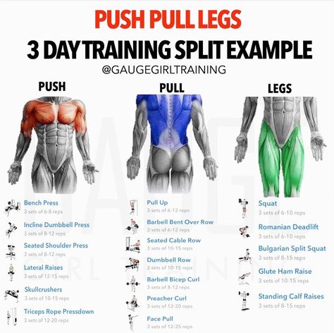 @gaugegirltraining shared a photo on Instagram: “There are COUNTLESS ways to organize your training split…⁣ ⁣ Of all the training splits imaginable, I’ve achieved my best results with a…” • Mar 21, 2021 at 2:20pm UTC 3 Day Split Strength Training, Strength Training Split, Push Pull Split Workout Routines, 4 Day Training Split, Hybrid Training Split, Push Exercises, Push Pull Leg Split, Best Workout Split Muscle Building, Pull Exercises