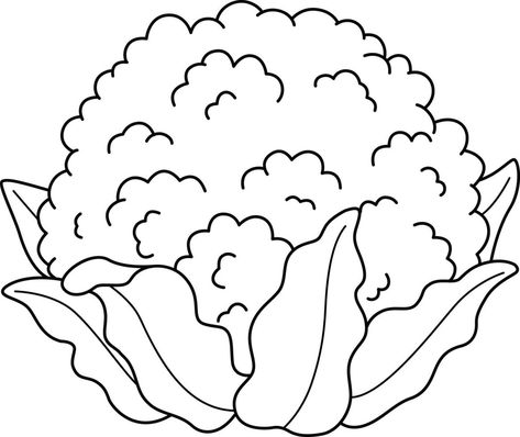 Cauliflower Vegetable Isolated Coloring Page Cauliflower Drawing, Vegetable Outline, Drawings Of Vegetables, Vegetables Drawing, Cauliflower Vegetable, Cute Cartoon Food, Outline Pictures, Vegetable Coloring Pages, Vegetable Drawing