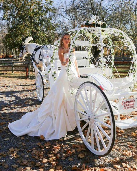 Horse And Carriage Prom, Horse And Carriage Wedding, Wedding Horse And Carriage, Carriage With Horse, Just Married Horse And Carriage, Cinderella Wedding Theme, Wedding Carriage, Horse Wedding, Wedding Transportation