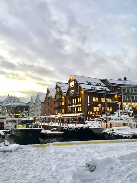 Tromso, Norway  https://www.instagram.com/begoodbaby.co/ Tromsø Norway Aesthetic, Tromso Aesthetic, Tromso Norway Winter, January Mood Board, Scandi Winter, Year Recap, January Mood, Travel Snow, Winter Chalet