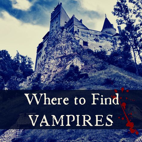 Vampire In Real Life, Real Life Vampires, Real Vampires, Book Stores, Bookstore, Real Life, How To Become, Romance, Natural Landmarks