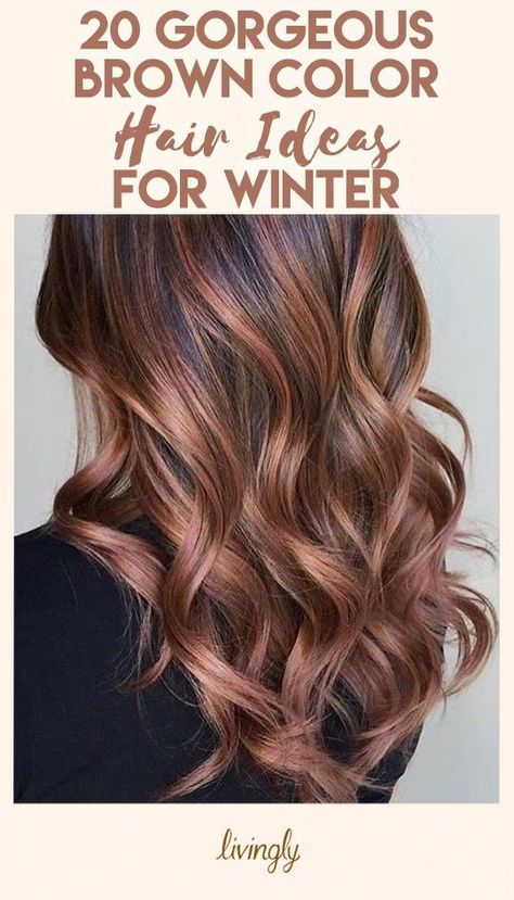 Deep Winter Hair Color Highlights, Going Darker From Blonde, Winter Hair Color For Brunettes, Hair Color Ideas For Brunettes Balayage, Dark Purple Hair Color, Balayage Techniques, Multiple Accounts, Hair Lights, Fall Highlights