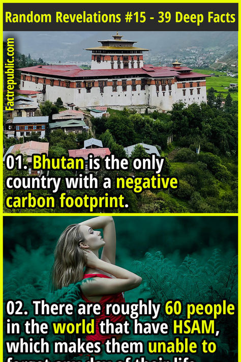 01. Bhutan is the only country with a negative carbon footprint. Random Useless Facts, Deep Facts, Gross National Happiness, Epic Facts, Unbelievable Pictures, Fun Facts Mind Blown, Crazy Pictures, Incredible Nature, Bhutan Travel