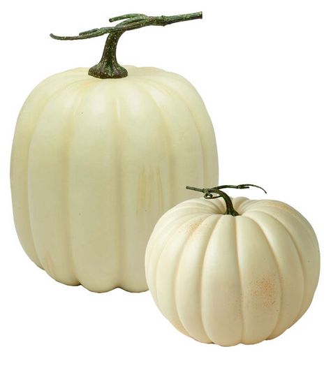 Fall Natural White Pumpkin by Place & Time | JOANN Baby In Pumpkin, White Pumpkins, The Cream, Joanns Fabric And Crafts, Fall Shopping, Large White, Fall Season, Craft Stores