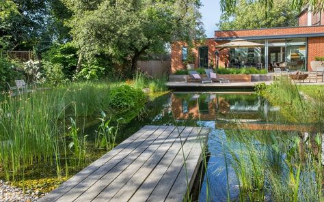 Swimming Ponds, Pocket Garden, Natural Swimming Ponds, Wild Swimming, Swimming Pond, Country Gardens, Wet And Wild, London Garden, Residential Architect