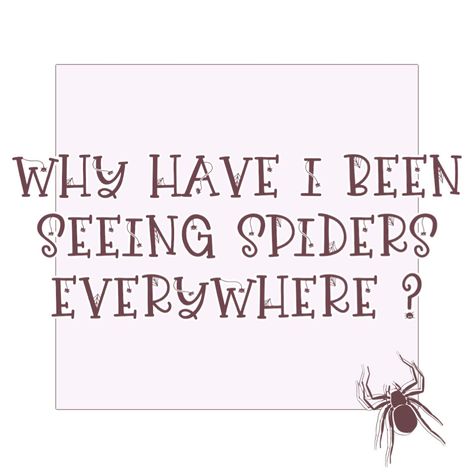 Seeing Spiders Meaning, Spider Omens Witchcraft, Spider Spiritual Meaning, Witch Meaning, Animal Meanings, House Spider, Spirit Signs, Energy Consciousness, Spiritual Awakening Signs