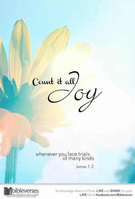 Count it all Joy Count It All Joy, Choosing Joy, Grace Abounds, Spiritual Universe, Scripture Images, Narrow Road, Book Of James, Jesus Girl, Joy Quotes