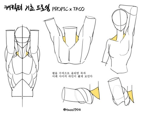 Collar Bone Art Reference, Taco 1704, Proportion Study, Anatomy Tutorial, Human Anatomy Drawing, Body Drawing Tutorial, Human Anatomy Art, Anatomy Sketches, Midi Dress Plus Size