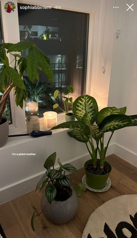 Plants Earthy Aesthetic, Minimalist Living Room Plants, Room Decorated With Plants, Home Aesthetic Plants, Big Pot Plants Indoor, Home With Plants Aesthetic, Room Of Plants, Bedroom Ideas Plant Aesthetic, Minimalistic Room With Plants