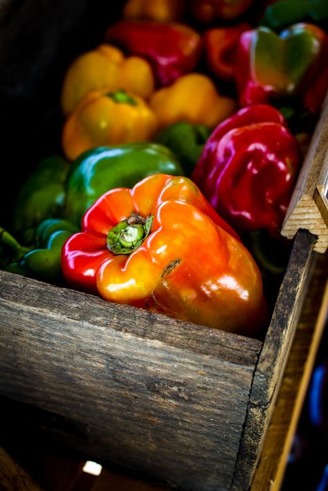 . Vegetables Photography, Green Inspiration, New Fruit, Food Photography Styling, Fresh Fruits And Vegetables, Tutti Frutti, Happy Days, Fresh Veggies, Fruit And Veg