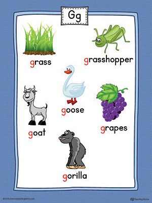 Letter G Word List with Illustrations Printable Poster (Color) Worksheet.Use the Letter G Word List with Illustrations Printable Poster to play letter sound activities or display on a classroom wall. G Sound Words, G Letter Worksheet, G Sound Worksheet, G Sound Activities, Letter G Pictures, G Letter Words, G Words For Kids, Sound Pictures, Beginning Letter Sounds