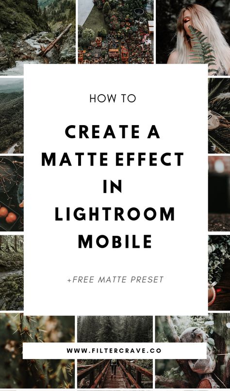 Lightroom CC Tutorial (Mobile App): Learn how to Create the Matte Effect in Lightroom Mobile with just a few easy steps. |  Filtercrave Photography Tips + Photo Editing Tips + Lightroom Presets | #lightroom #lightroompresets #mattepresets #lightroommobile #lightroomtutorial How To Use Lightroom, Start A Photography Business, Photography Software, Iphone Photography Tips, Photography Presets, Photo Editing Tips, Lightroom Tips, Photo Presets, Lightroom Tutorials