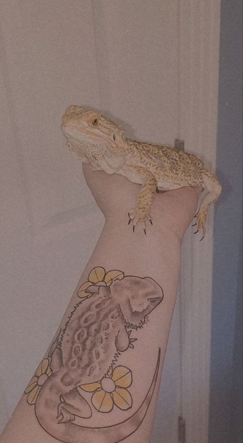 Bearded dragon tattoo Beared Dragon Tattoo, Bearded Dragon Memorial Tattoo, Small Bearded Dragon Tattoo, Boulder Tattoo, Reptile Tattoo Ideas, Reptile Tattoo, Bearded Dragon Setup, Wings Black And White, Bearded Dragon Tattoo