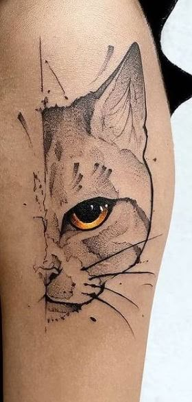 Mean Cat Tattoo, Cat Face Tattoo Design, Unique Pet Tattoo Ideas, Manly Cat Tattoo, Men Cat Tattoo, Cats Eye Tattoo, Detailed Cat Tattoo, Half Cat Face Tattoo, Masculine Cat Tattoo