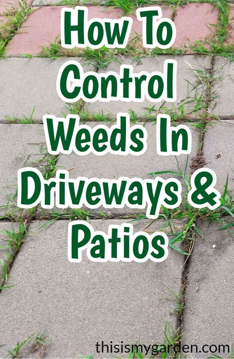 Kill Weeds Naturally, Killing Weeds, Kill Weeds, Grass Weeds, Garden Remedies, Lawn Care Tips, Garden Weeds, Lawn And Landscape, Garden Yard Ideas