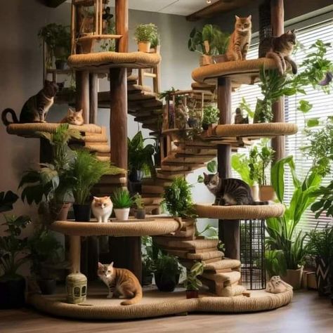 Cat Tower Diy, Animal Furniture, Diy Cat Tower, Unique Cat Trees, Spoiled Cats, Cat Tree House, Cat Houses, Diy Cat Tree, Cat House Diy