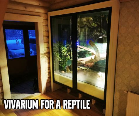 Vivarium for a Reptile Thieves Spray, Backyard Ducks, Diy Outdoor Fireplace, Tiling Tools, Cat Hammock, Floating Shelves Diy, Dog Car Seats, Terracotta Planter, Vivarium