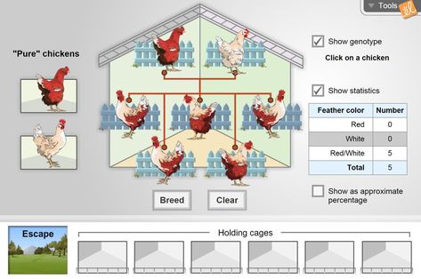 Chicken Genetics, Chicken Breeding, Common Garden Plants, Punnett Squares, Plant And Animal Cells, Plant Structure, Animal Cell, Chicken Breeds, Teacher Guides