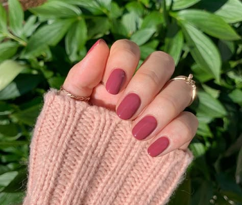 Early Fall Manicure, Dark Pink Short Nails, Dark Pink Fall Nails, Short Dark Pink Nails, Short Round Nails Fall, Round Nails Fall, Fall Nails Round, Minimalist Nails Fall, Short Round Acrylic Nails