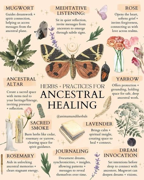 Ancestor Magick, Ancestor Healing, Ancestral Witchcraft, Ancestral Connection, Ancestral Wisdom, Spiritual Awakening Stages, Ancestral Healing, Celtic Druids, Spiritual Journals