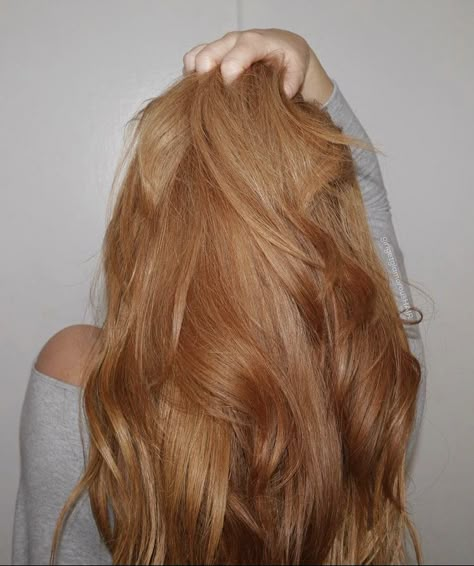 Jahodová Blond, Blonde Copper, Copper Blonde Hair, Strawberry Blonde Hair Color, Copper Blonde, Haute Hair, Ginger Hair Color, Dye Ideas, Strawberry Blonde Hair