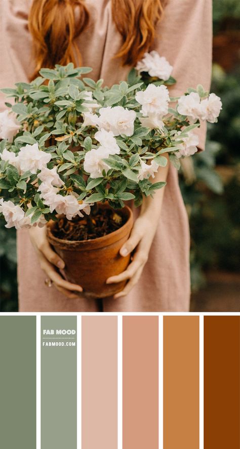 green Archives 1 - Fab Mood | Wedding Colours, Wedding Themes, Wedding colour palettes Wedding Colour Palettes, Sage Color Palette, Fab Mood, Mood Wedding, Earth Tone Color Palette, Terracotta And Green, Brown Color Schemes, Wedding Colours, Earth Tone Color