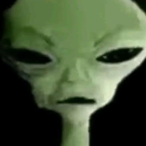 Alien Pfp, Gnarp Gnarp, Goofy Pictures, 5k Followers, X Files, Funny Laugh, Rats, Group Chat, Funny Stuff